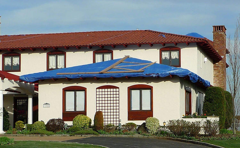Kotap 10 x 10 Ft. All-Purpose Multi-Use Protection/Coverage 5-mil Poly Tarp, Waterproof, Blue, 1-Pack (TRA-1010) 10 x 10 Ft.