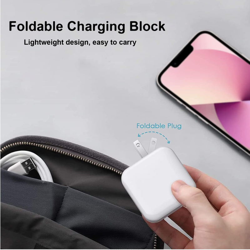 iPad Charger, 2Pack [Apple MFi Certified] 10FT Long USB A to Lightning Cord Cable with USB Wall Charger Travel Plug Foldable Portable Adapter Compatible with iPad, iPadAir, iPadMini, iPadPro, iPhone 2Pack 10FT