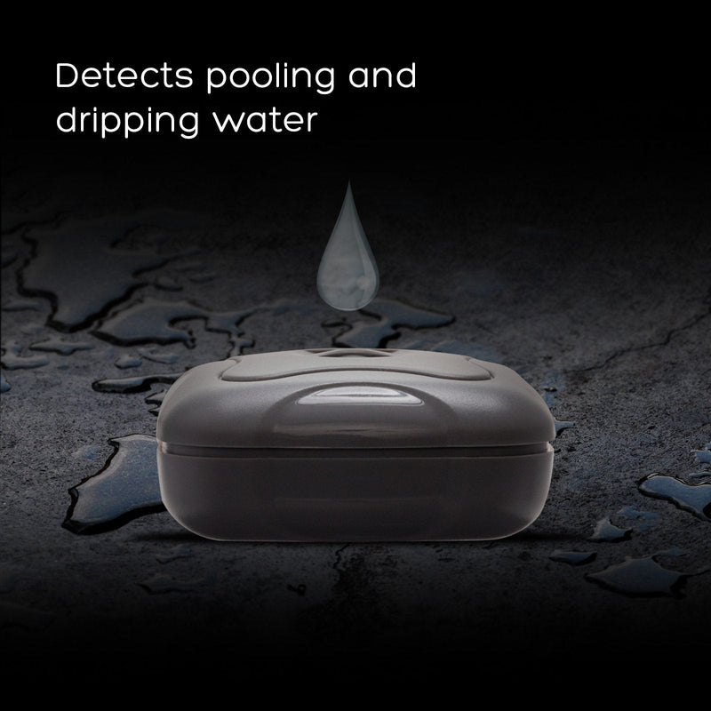 2 Pack Water Leak Detector - 95 dB Flood Detection Alarm Sensor for Bathrooms, Basements, Laundry Rooms, Garages, Attics and Kitchens by Mindful Design (Grey, 2 Pack) 2 Count Grey