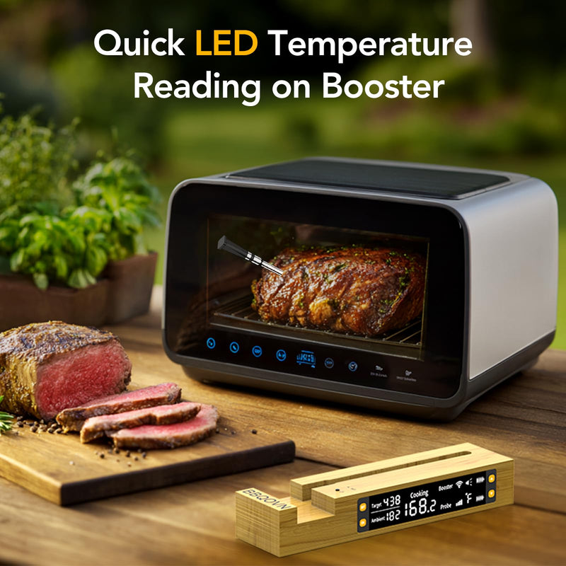 WiFi Wireless Meat Thermometer (1, Black, Small) 1
