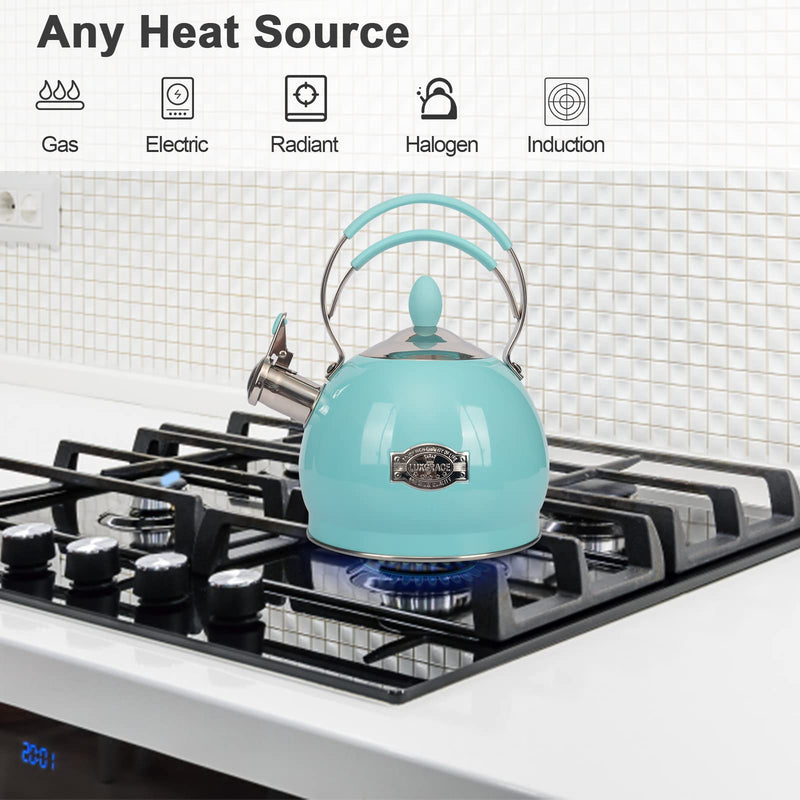Whistling Tea Kettle Stainless Steel Teapot, Teakettle for Stovetop Induction Stove Top, Fast Boiling Heat Water Tea Pot 2.6 Quart Blue