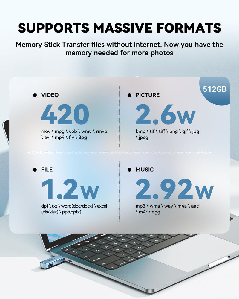 MFi Certified 256GB iPhone Photo Stick, High-Speed USB Flash Drive Memory Storage for Video Backup, Compatible for iPhone/iPad/Android/PC (Blue) Blue 256 GB