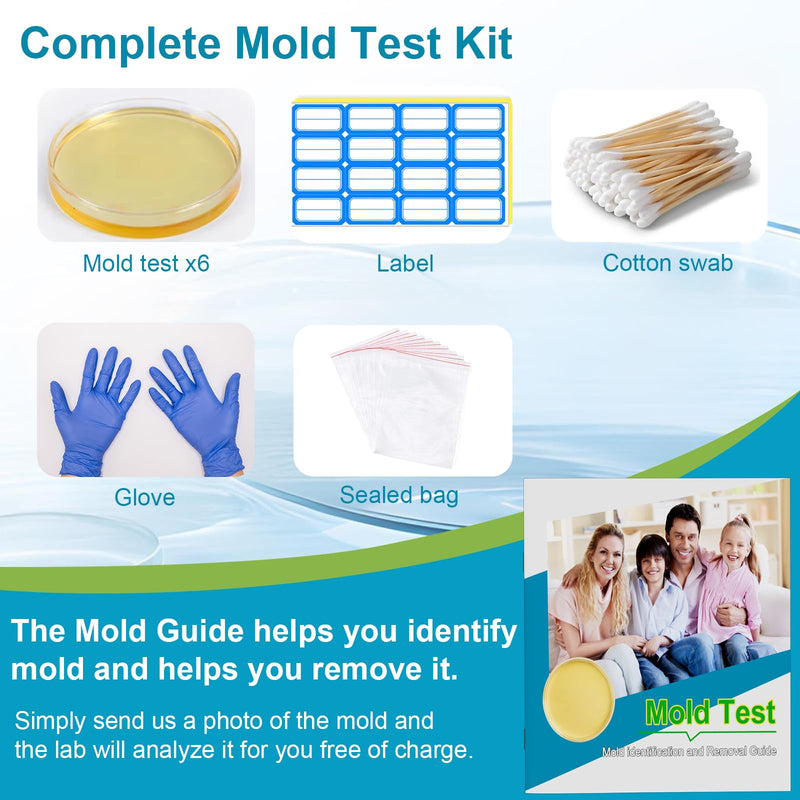 Mold Test Kit for Home- DIY Mold Detector for Home, 6 at Home Mold Air Test Kits - Test HVAC、 Home Surfaces、Indoor Air Quality, Easy Black Mold Testing Kit Includes Detailed Mold Identification Guide 6 pack