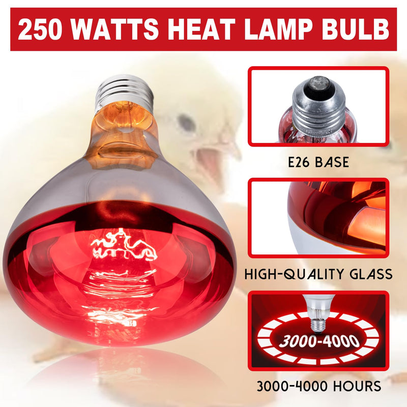 3 Pack 250W Heat Lamp Bulbs for Chicks, R40 Brooder Heat Lamp for Chickens, Infrared Reflector Heat Bulbs for Brooder Heater, Incandescent Heating Bulb for Pet, Bathroom, Food 250 Watts 3 Pack
