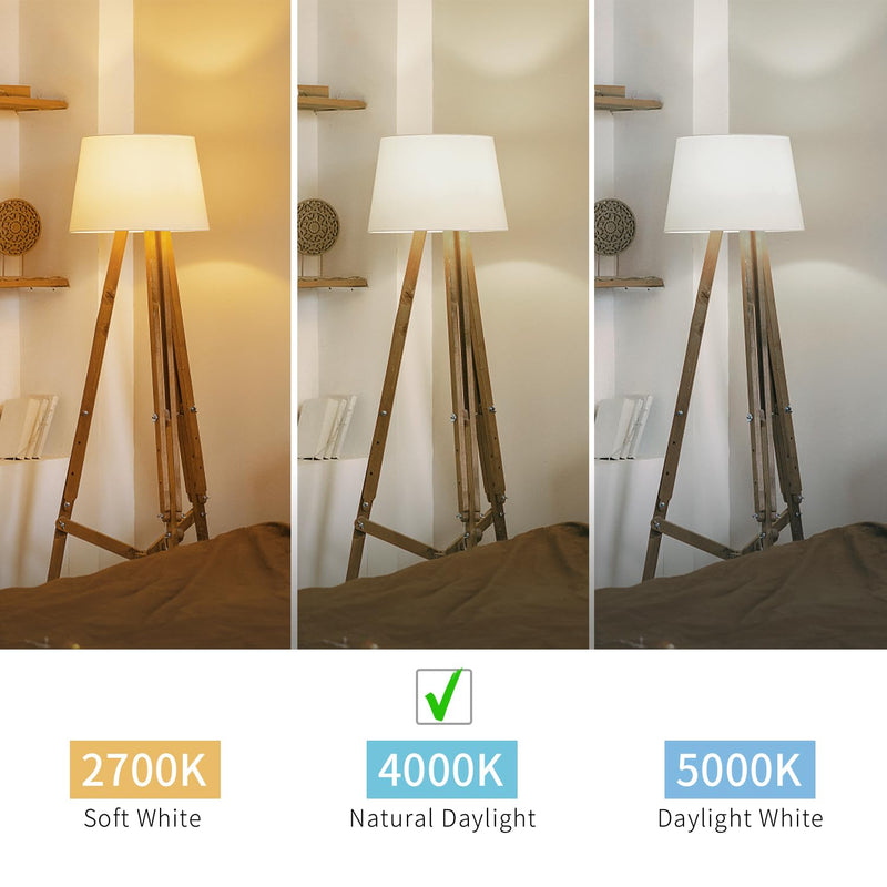 BORT ST58/ST19 Vintage LED Edison Bulbs, 6W Equivalent 60W Filament Light Bulbs, Dimmable 700LM, E26 Base LED Bulbs, Clear Plastic (Daylight White, 12 Pack) Daylight White