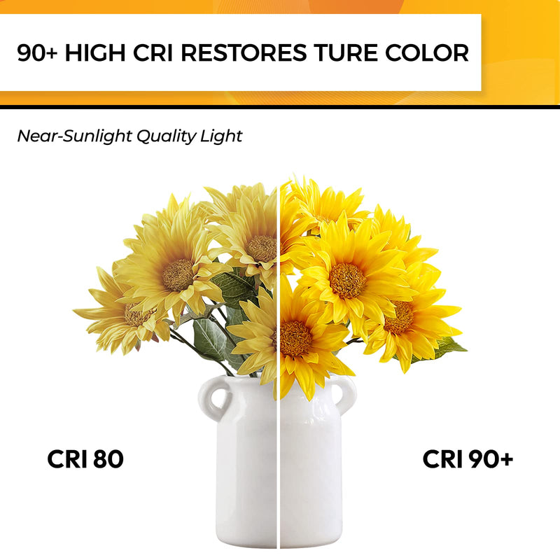 Hizashi Candelabra LED Light Bulbs 25 Watt, Dimmable Chandelier Light Bulbs, 90+ CRI, 200LM, Soft Warm White 2700K, E12 LED Bulb, B10 Candle Bulbs, UL Listed, 12 Pack B10 12 Pack