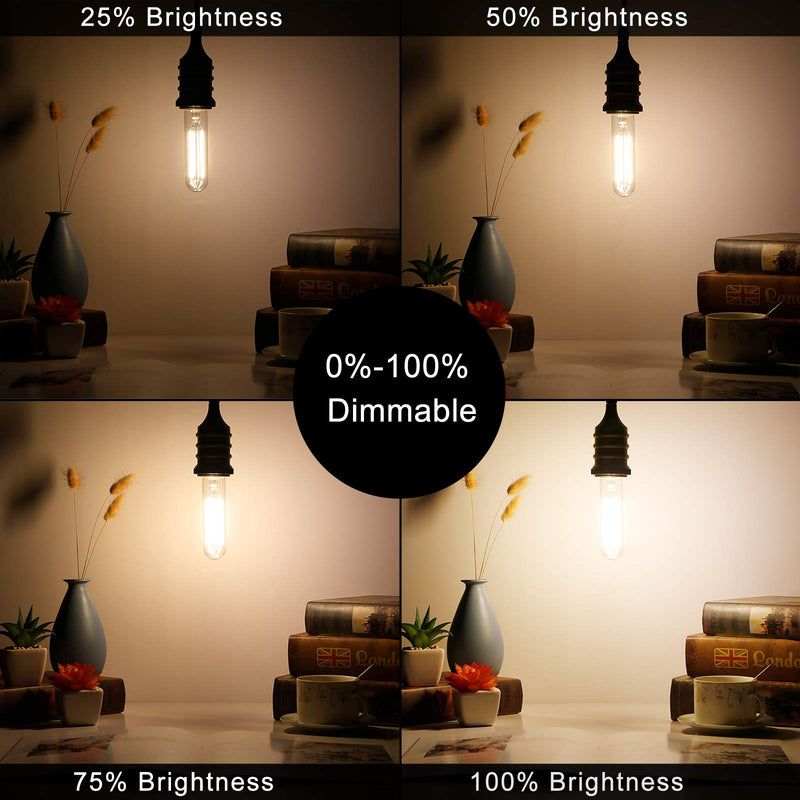 LiteHistory Dimmable E26 Edison Bulb 6W Equal 60 watt Light Bulb AC120V Warm White 2700K Edison Light Bulbs 60 Watt 600LM Tubular T10 led Bulb for Rustic Pendant,Chandeliers,Wall sconces,Vanity 6Pack 6w=60w Warm White 2700k 5 Inch(6 count)