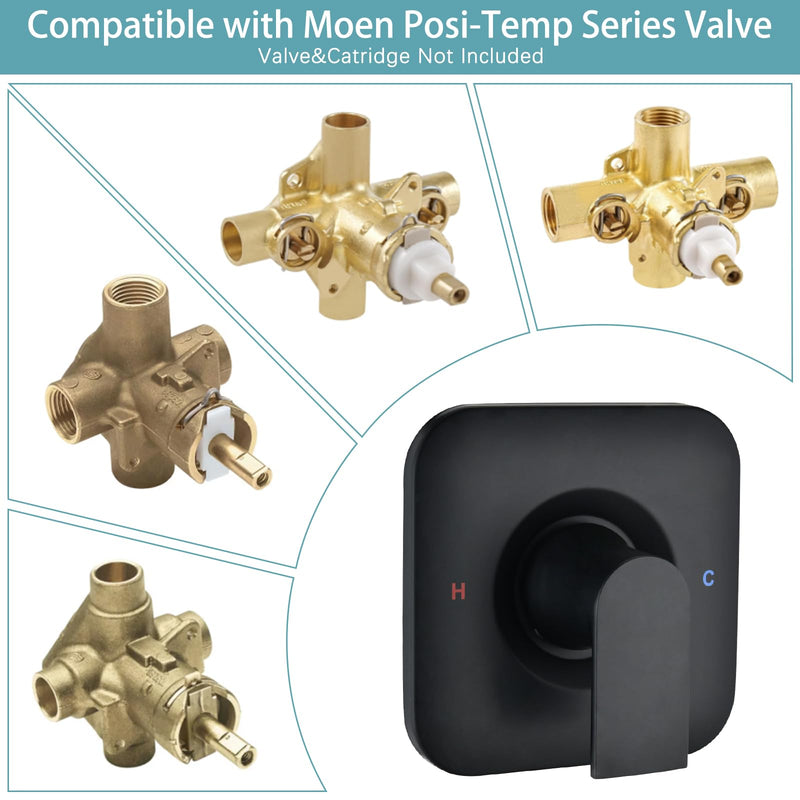 Trim Kit Compatible with Moen Shower Faucet (Valve& Catridge Not Inclued), Volume and Temperature Control Level Handle, Matte Black