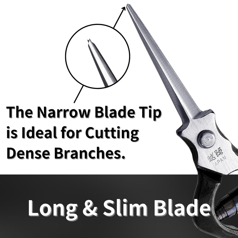 Professional Bonsai Trimming Scissors 7" [Extra Pointed Tips] Made in JAPAN, Plant Trimming Shears, Hand Forged Japanese Carbon Steel Blade, Spring Loaded Handle, Black 7" Trimming (Pointed Tips)