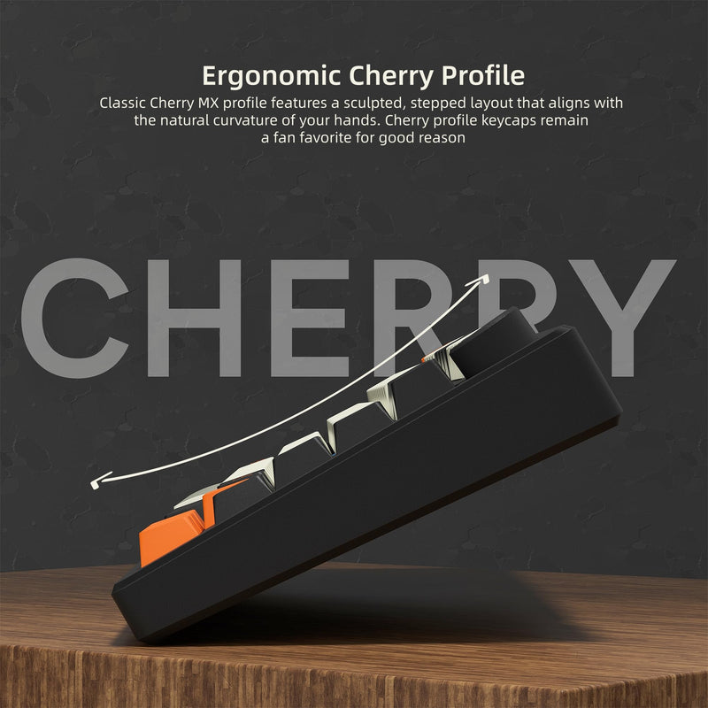 Womier PBT Keycaps, Custom Retro Keycaps Set, Keyboard Caps | Cherry Profile Keycaps 138 Keys Universal Compatiability for 60% 75% 96% 100% Percent Cherry MX Switches Keyboard-Carbon Gray Carbon Gray