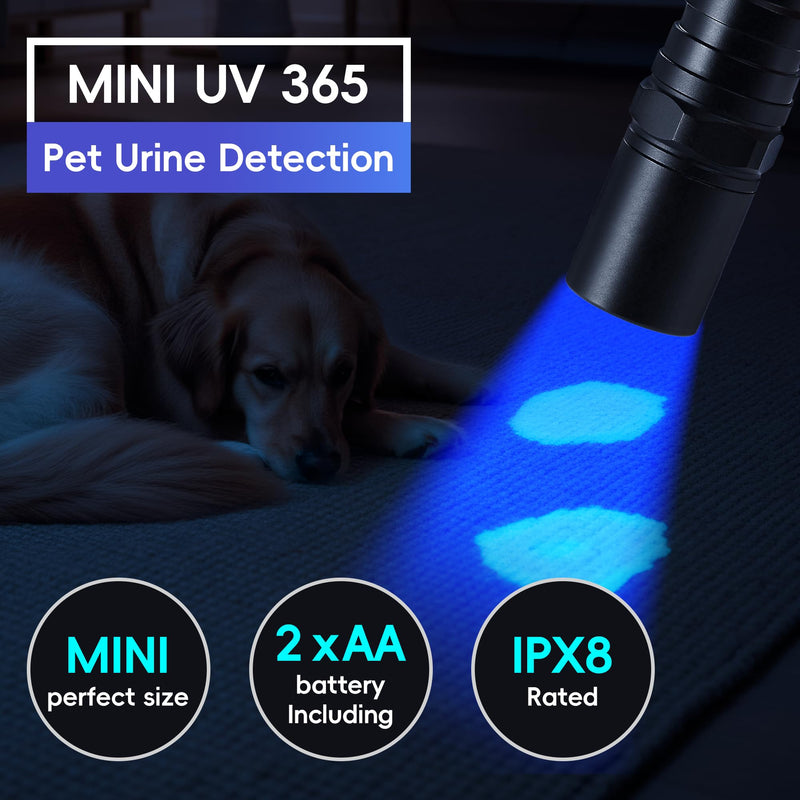UV Flashlight, UV Light 365nm, AA Powered Black Light, Blacklight Flashlight for Pet Stains, Hunting Scorpions, Resin Curing, Leak Inspection T2-Long-Life