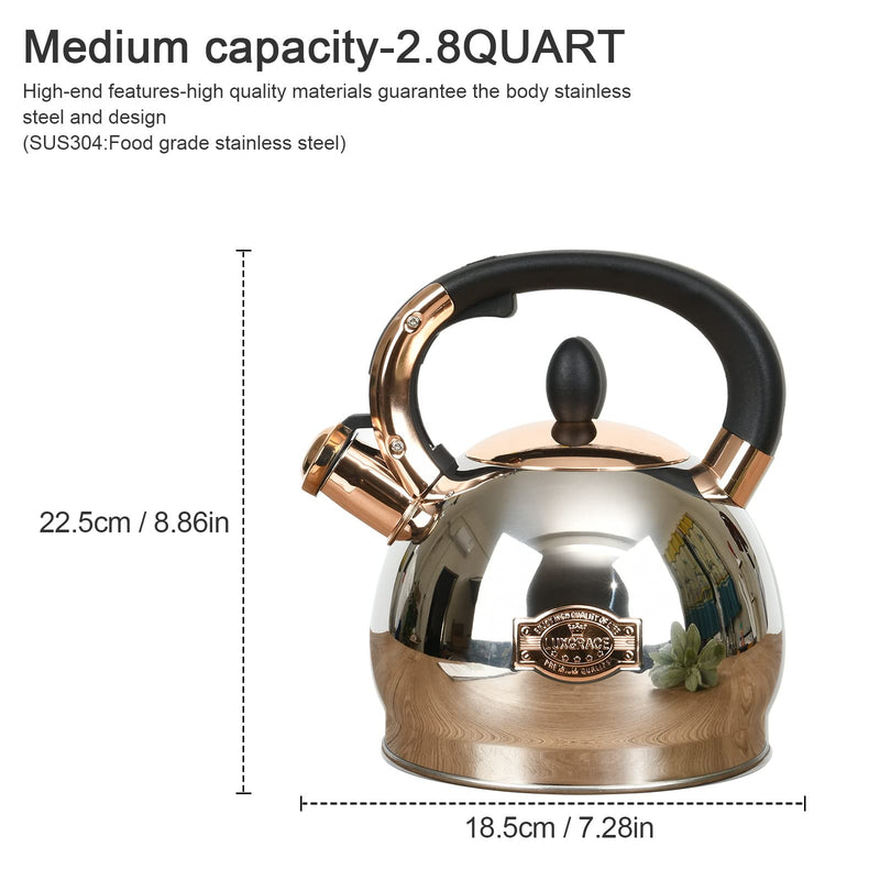 Stainless Steel Whistling Tea Kettle with Metal Capsulated Bottom for Quick Heat Distribution 2.8 Quart 3 Quarts Silver001