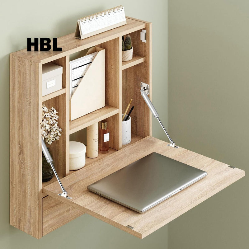 HBL' 2 Pack 100N/22LBS Drop Down Gas Struts for Drop-Front Desk Downward Slowly Such as Fold-Down Desk, Flap Lid