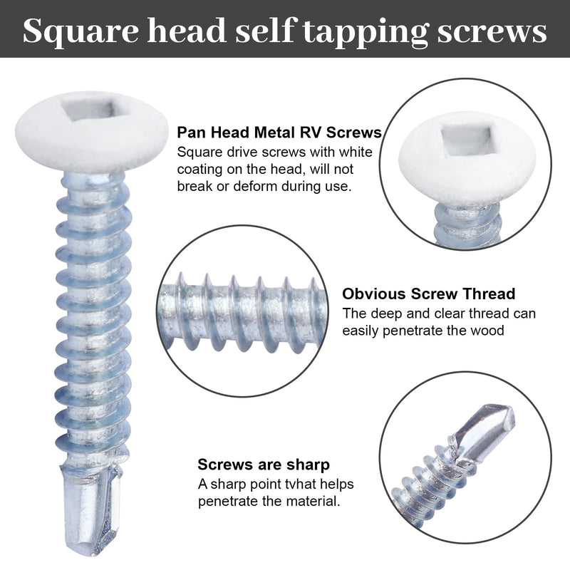 8x1 pan Head Metal rv Screws - Polar White self Drilling Screws Trailer Deck scre-ws - Square Drive Self Tap Drill Scre-ws (250 Pack) 250 Pack