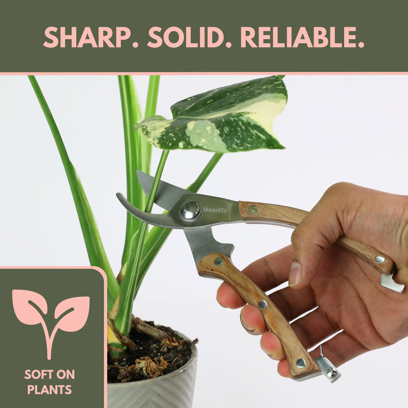 Mossify Garden Shears 8” – Premium Stainless Steel Pruning Shears for Gardening with Wooden Handle – Hand Pruners, Plant Clippers & Garden Scissors – Sharp Garden Tool for Left & Right Hand Use 8"Pruning Garden Shears