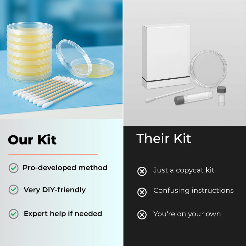 Mold Test Kit – Test 10 Different Areas in Home, Swab Sample and Air Sample, Easy-to-Use Guide, Professional-Grade Testing