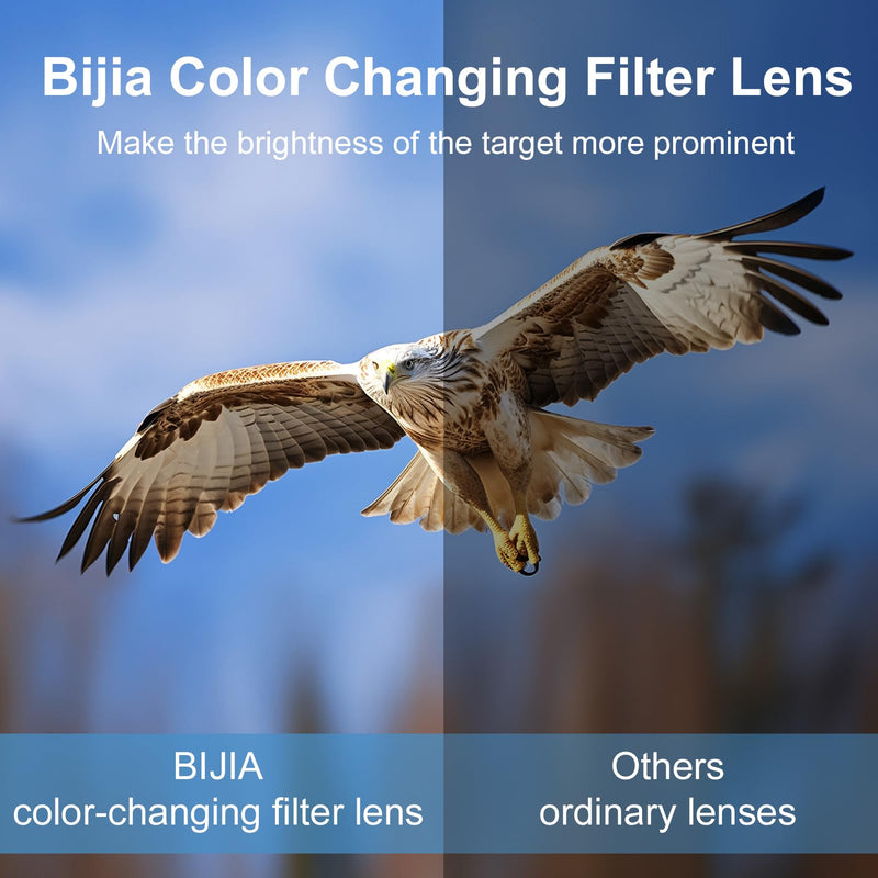 BIJIA Opera Glasses Binoculars, 2.5X Magnification, Glasses-Style | Hands-Free, Lightweight, Adjustable Focus, For Live Events & Concerts, Ideal for Theater, Sports, Travel, Museum Visits
