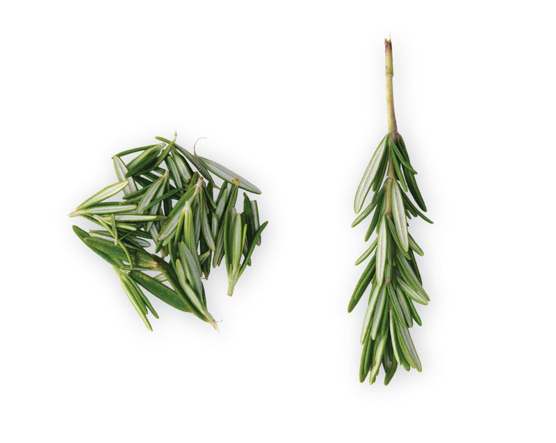 Chef'n Zipstrip Herb Stripper, Arugula/Avocado - 102-566-201 Chef'n Zipstrip Herb Stripper