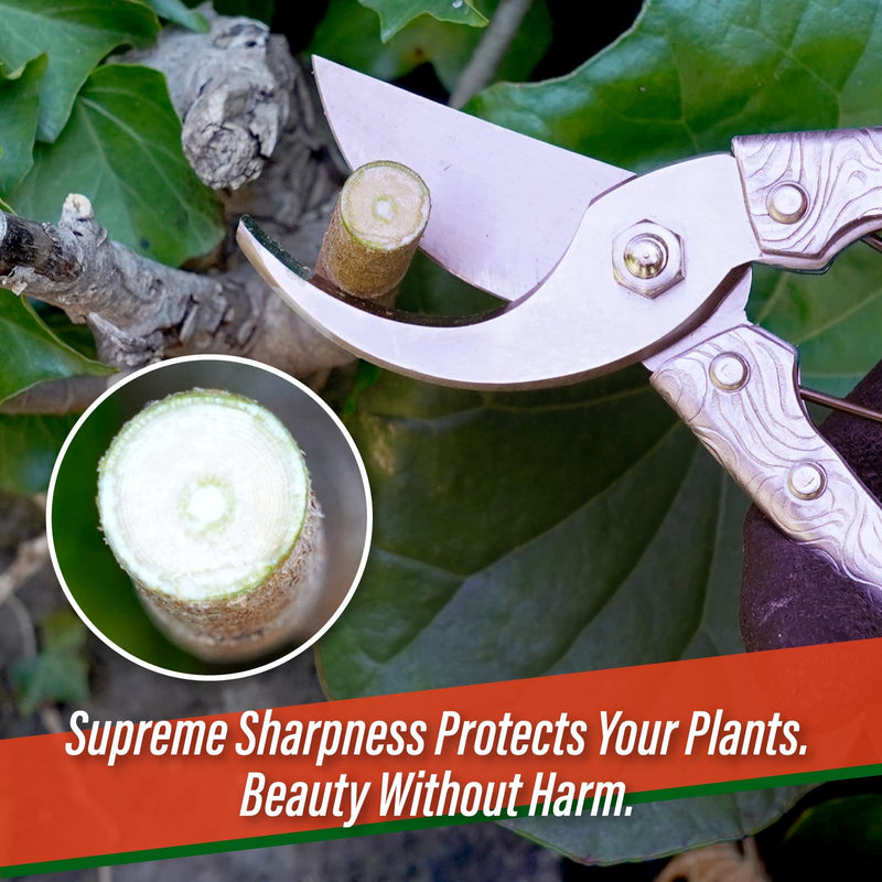 SUIZAN Bypass Pruning Shears 8” Forged Aluminum Handle - Professional Japanese Hand Pruners Garden Scissors Gardening Tools 8 Inch (200mm) Aluminum Handle Pruner