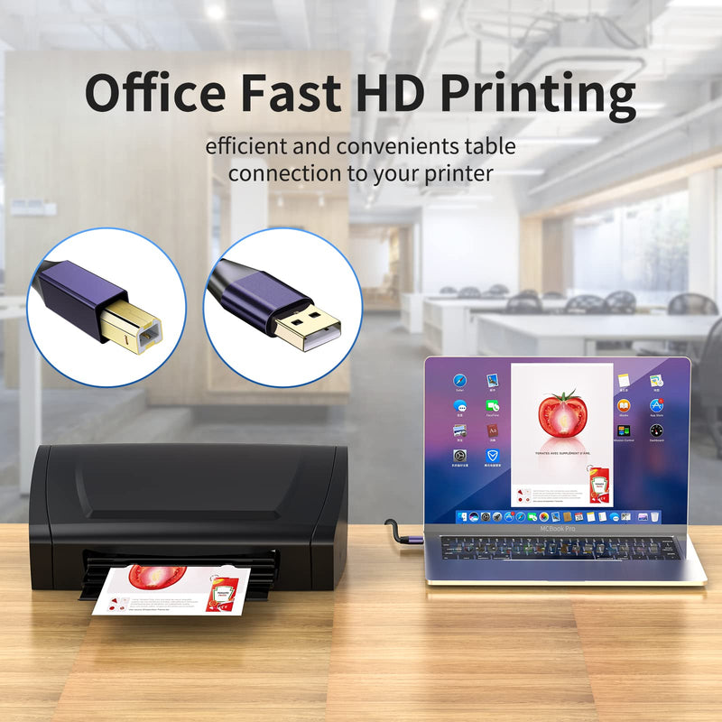 Active USB 2.0 Printer Cable100ft - A-Male to B-Male High Speed Printer/Scanner/Repeater Cable for HP, Canon, Epson, Dell, Samsung etc Morandi Purple 100FT