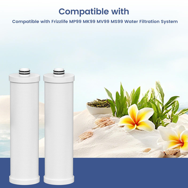 FZ-2 Replacement Filter Cartridge Compatible with Frizzlife MP99, MK99, MS99 Water Filter & MV99 RV Filter, 2 Packs