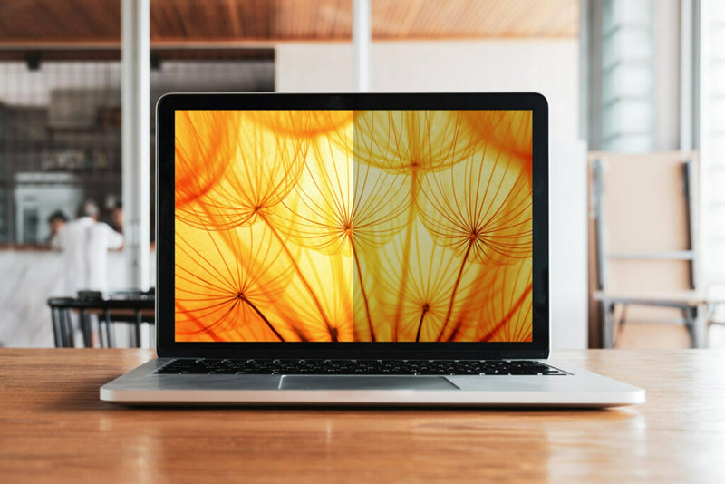 3M Bright Screen Privacy Filter for 14in Full Screen Laptop, 16:9, BP140W9E