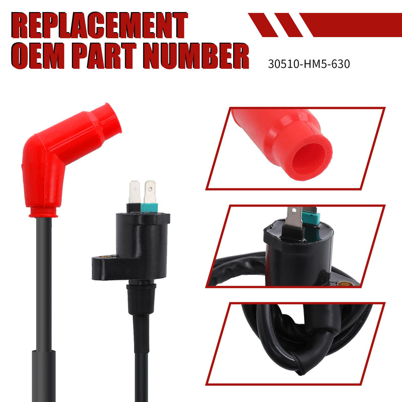 Ignition Coil Pack spark plug Compatible with HONDA Fourtrax 300 TRX300 TRX300FW TRX250EX RECON 250 TRX250TM TRX250TE TRX250X 1988-2018