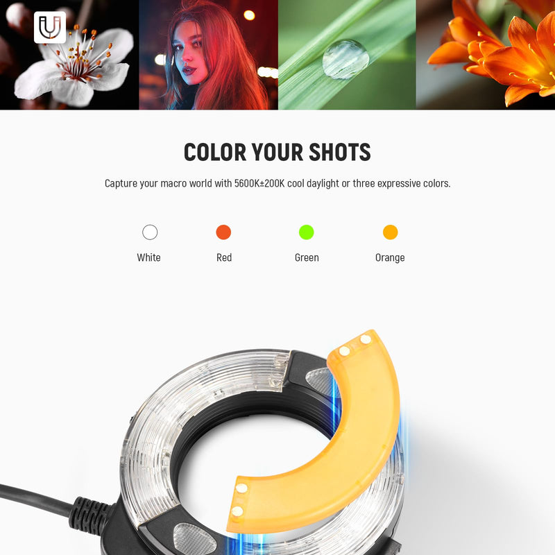 NEEWER RF1-S Marco Ring Flash Light Compatible with Sony Camera, 76Ws GN15 5600K TTL Lighting, 1-1/128 Output Front/Rear Curtain Sync Color Gels Lens Adapter Rings for Macro Photography Studio Photo for Sony