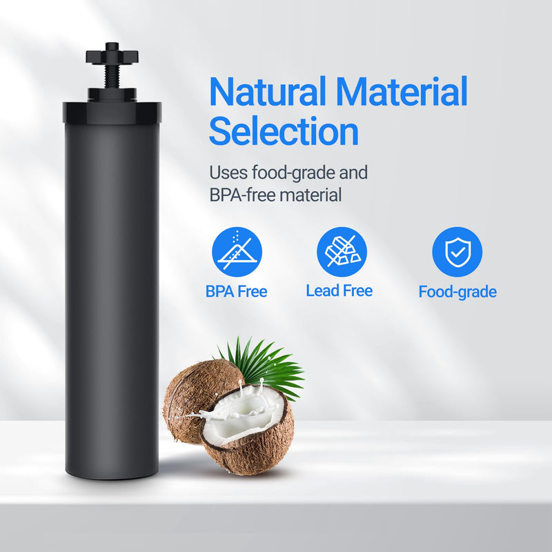 Filterlogic Gravity Water Filter, Replacement for Berkey® BB9-2® Black Carbon Filters, Purewell®, ProOne®, Waterdrop Gravity Filter System, NSF/ANSI 42&372 Certified, 2 Pack Count of 2