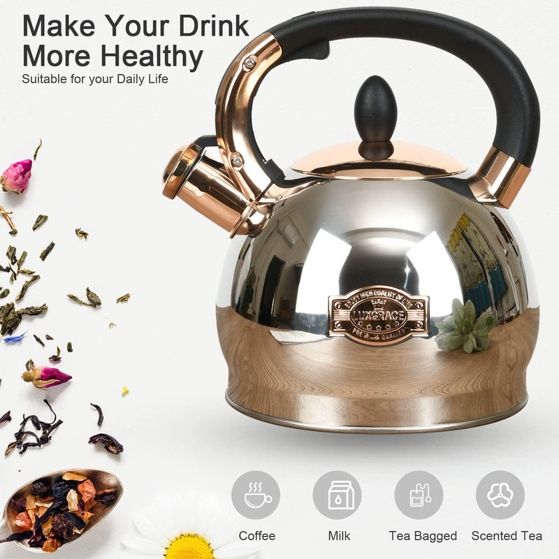 Stainless Steel Whistling Tea Kettle with Metal Capsulated Bottom for Quick Heat Distribution 2.8 Quart 3 Quarts Silver001