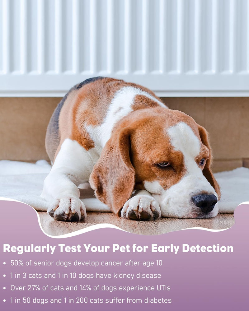 Pawfly Urine Test Strips for Dogs & Cats, 100 Strips, 4 in 1 Pet Urine Testing Strips for Leukocytes, Nitrite, Protein & Blood, UTI Test Strips, Urinalysis Test Strips for Vets