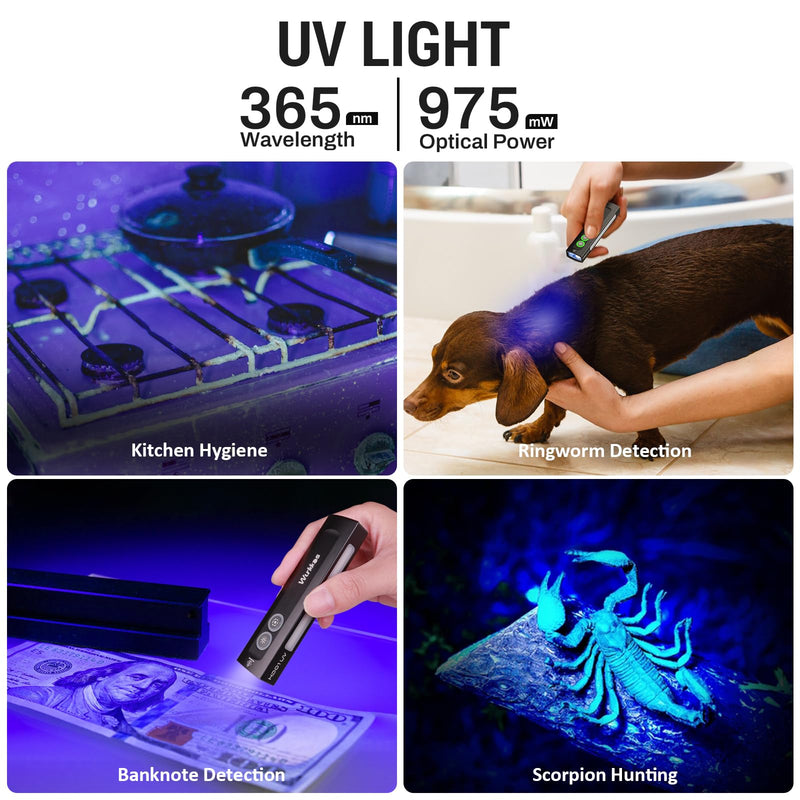 Wurkkos HD01 UV Flashlight, Rechargeable EDC Flashlight, Led Flashlight with 365nm UV Light, 1200 Lumens Flat Flashlight with RGB, Pocket Light for Emergency, Pet Urine Detection (Black) Black