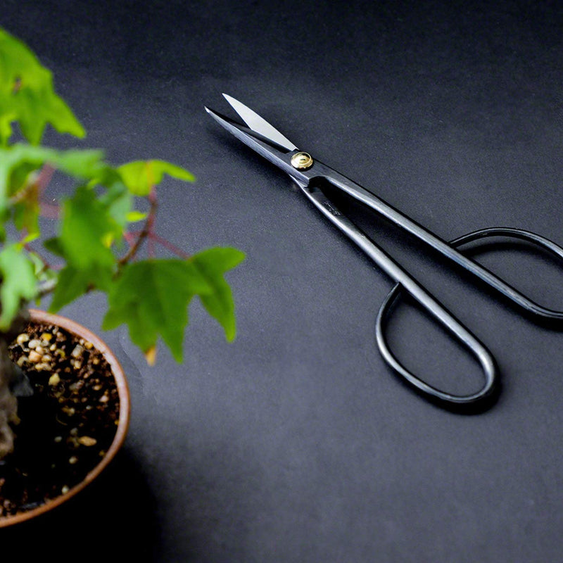 Wazakura 2PCS Japanese Bonsai Trimming Kit MADE IN JAPAN, Twig Bonsai Scissors 8-1/4inch(210mm) + Sap Rust Eraser Set 2pcs Satsuki Scissors + Sap Eraser Set