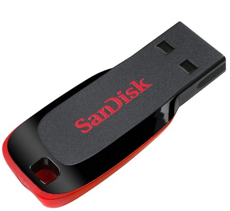 SanDisk 8GB Blade Flash Drive (5 Pack) Compact Pen Drive for Computers | Compatible with Laptops and Personal Computers (SDCZ50-008G-B35) Bundle with (5) Everything But Stromboli Lanyards