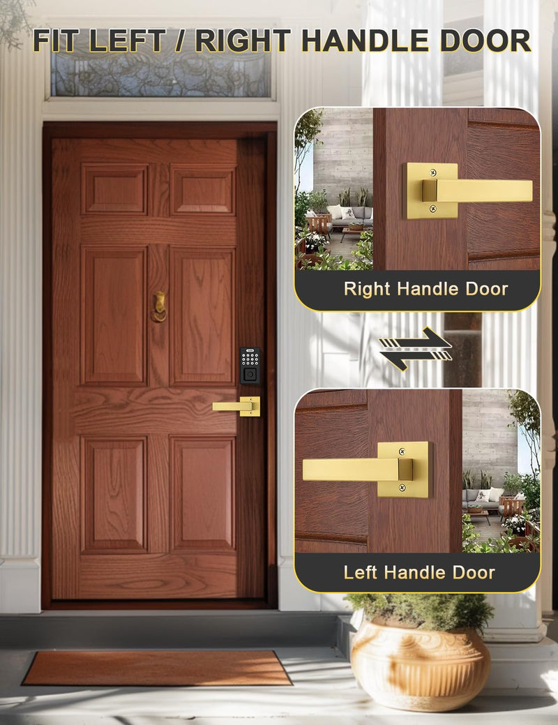 Tinewa 2 Pack Gold Dummy Lever Door Handles for Closets French Doors, Satin Brass Finish, Interior Dummy Door Locksets for Hall Closet Door Knobs Lock Reversible Right & Left Handed Gold-Half Dummy