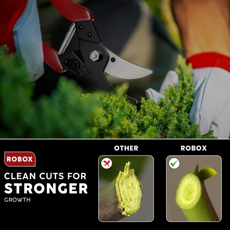 Pruning Shears – 8.9” Heavy Duty Gardening Scissors, Professional Bypass Pruners for Gardening, 1” Cut Capacity, Sharp Garden Clippers for Plants, Branches & Flower CLASSIC MAJOR 1.0