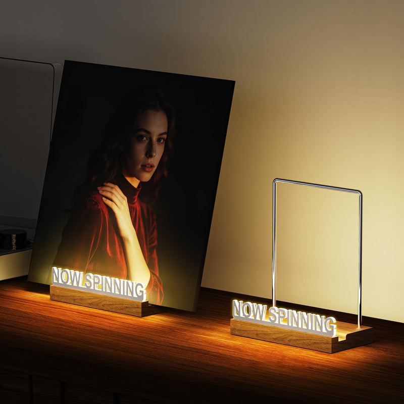 Vinyl Record Stand with Adjustable Warm White Lights Silver