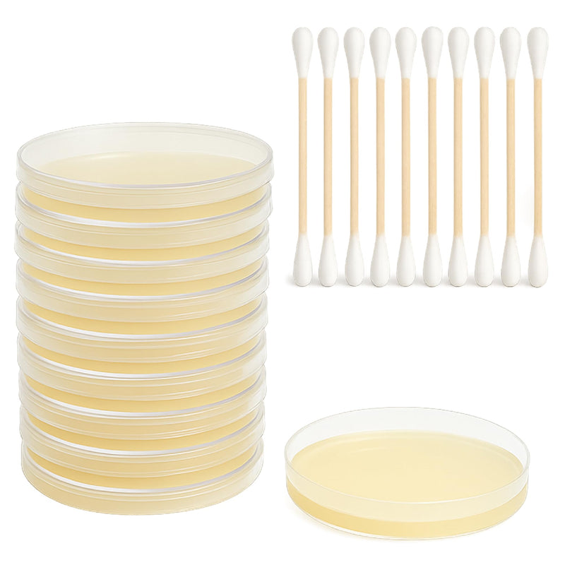 Mold Test Kit – Test 10 Different Areas in Home, Swab Sample and Air Sample, Easy-to-Use Guide, Professional-Grade Testing