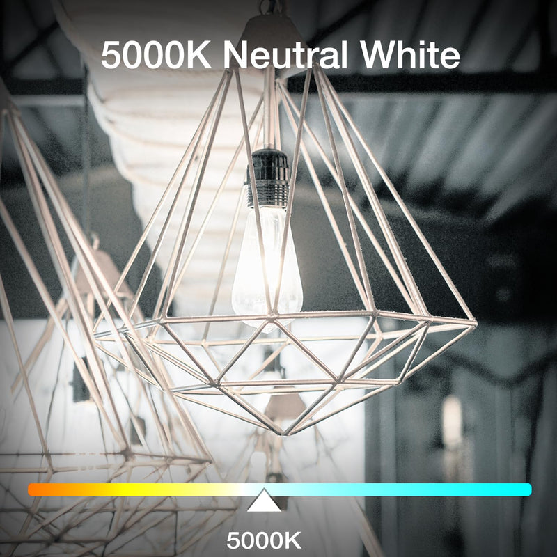 DAYBETTER 12 Pack Vintage LED Edison Bulbs, E26 Led Bulb 60W Equivalent, Dimmable Led Light Bulbs, High Brightness 800 LM Daylight White 5000K, ST58 Antique Filament Bulbs, Clear Glass Style for Home