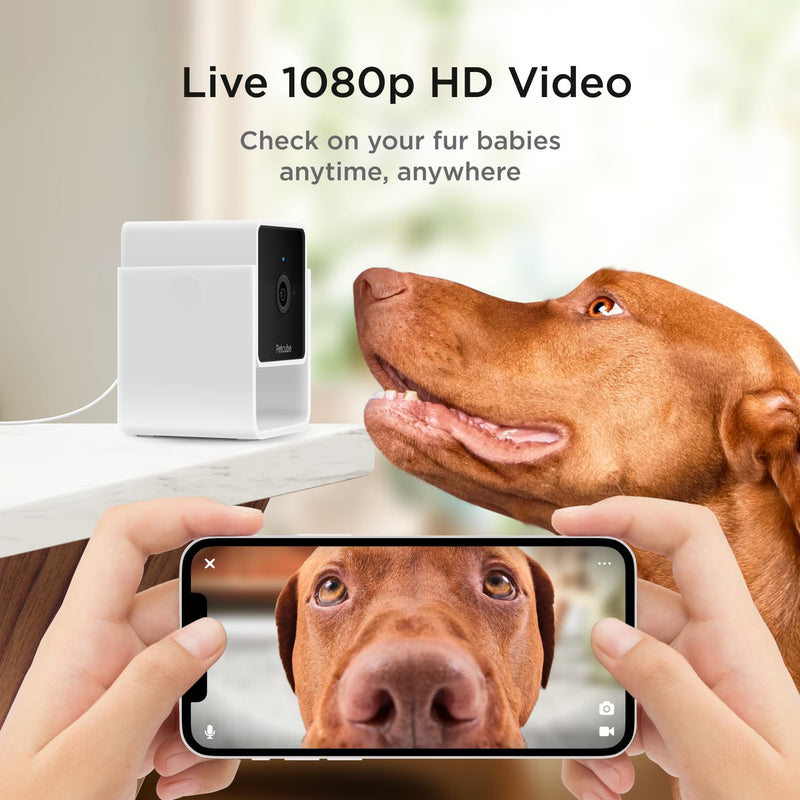 Petcube Cam The Pack of 3 | Indoor Wi-Fi Pet Security Camera with Phone App, 2-Way Audio and Video, Night Vision, 1080p HD Video and Smart Alerts Cam - pack of 3 Cameras