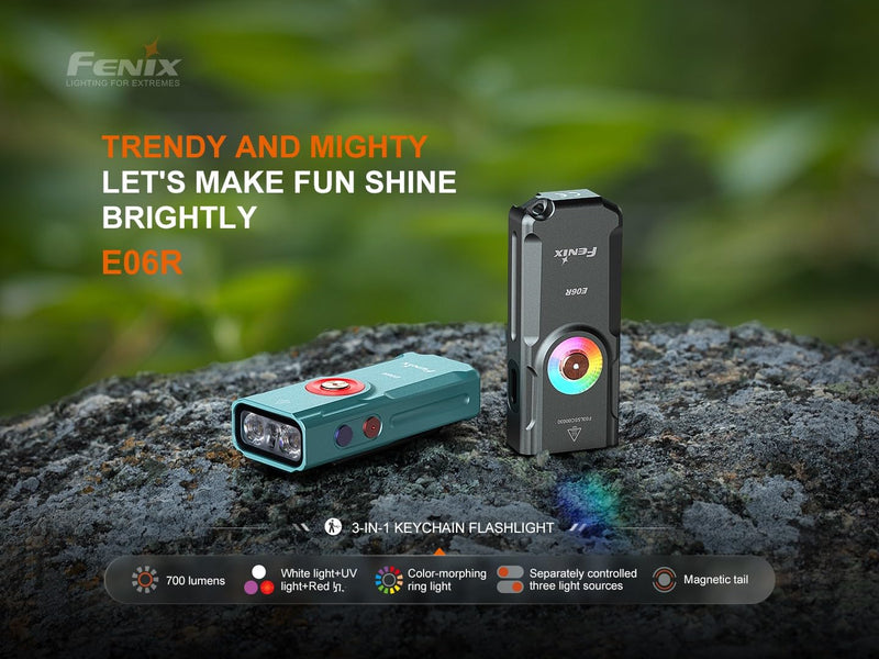 Fenix E06R 700 Lumen USB Rechargeable LED Keychain Flashlight/UV/Blacklight with EdisonBright Accessory case Bundle (Grey) Gray