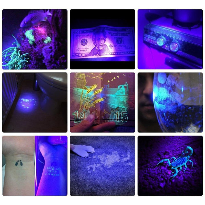 ALONEFIRE SV13 15W 365nm UV Flashlight Rechargeable Ultraviolet Woods Lamp Powerful Black Light for Pet Urine Detector, Resin, Bed Bug, Scorpion, Fishing with UV Protective Glasses, Battery, Charger