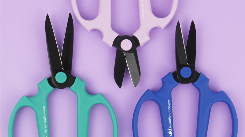 Flower Scissors With Black Carbon Steel Blades 7.0 Inch, Ornithogalum (Orange) 7.0 Inch Orange