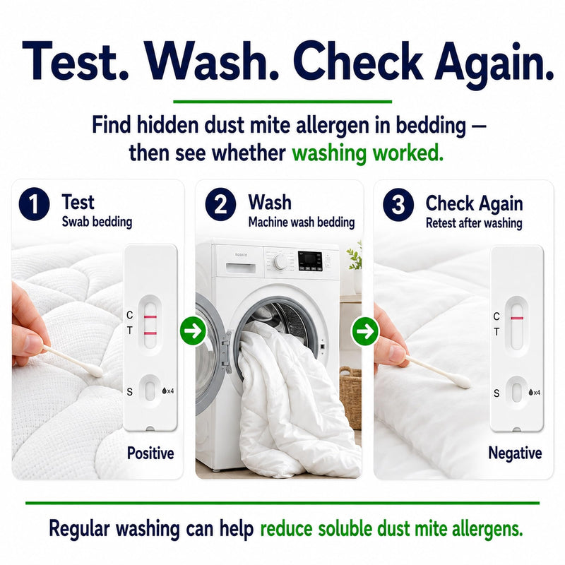 House Dust Mite Allergen Test Kit, 2 Tests, Results Within 10 Minutes - Environmental Detection for Bedding, Mattress, Carpet & Sofa - Easy to Use Household Test