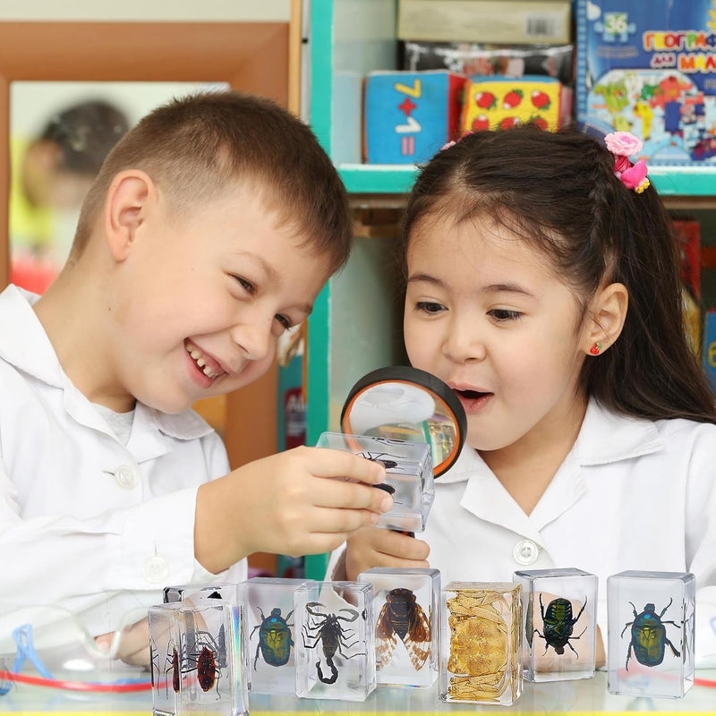 30 PCS Insect in Resin Specimen Bugs Collection Paperweights, Various Taxidermy Bugs Insect Preserved in Resin for Kids Scientific Educational Display Supplies