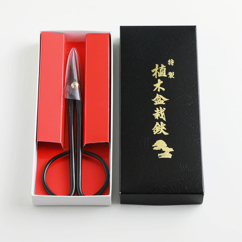 Hanafubuki Wazakura Twig Bonsai Scissors Made in Japan 7inch(180mm), Japanese Bonsai Garden Tools, Hasami Pruning Shears - Black 180.0 Millimeters Twig Long Handle Black
