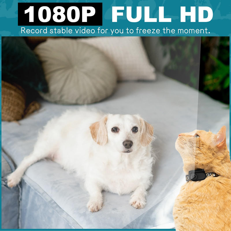 Mini Body Camera, 1080p Wearable Thumb Size Cam with Charging Case, Pet Camera, POV Cam with Motion Detection, Photo Shooting, Video Recording for Cat, Dog, Sport, Waterproof, Black