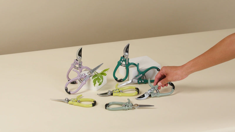 Modern Sprout Hand Pruners+Shears Set w/Blister - Gardening Tools - Sage