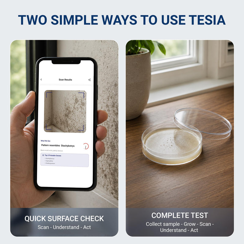 TESIA AI Mold Test Kit for Home, 8 Air & Surface Tests + 30 App Scans, Guided Results & Next Steps, No Lab Required, DIY Mold Detection for HVAC, AC Vents, Bathroom, Basement