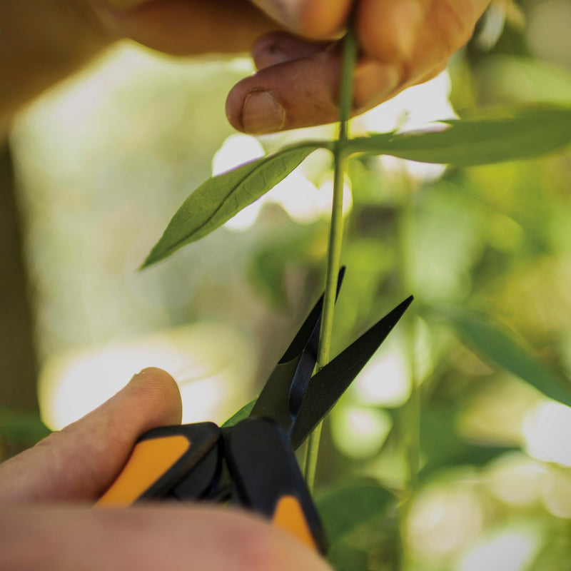 Fiskars 6" Pruning Scissors (2-Pack) for Flowers, Buds, Weeds and Small Plants, Garden Snips with Resin Resistant Nonstick Stainless Steel Blades, Gardening Trimmers with Comfortable Handle Non-Stick Snips (2-Pack)